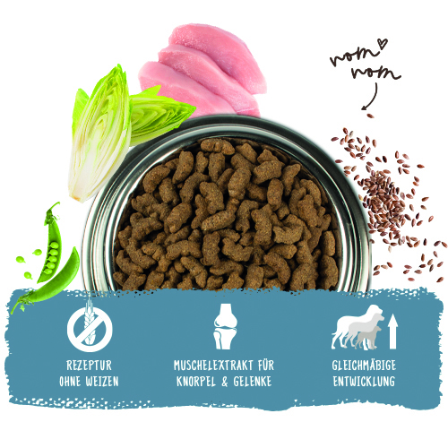 Bosch - Maxi Junior - 4 x 3 kg - 9