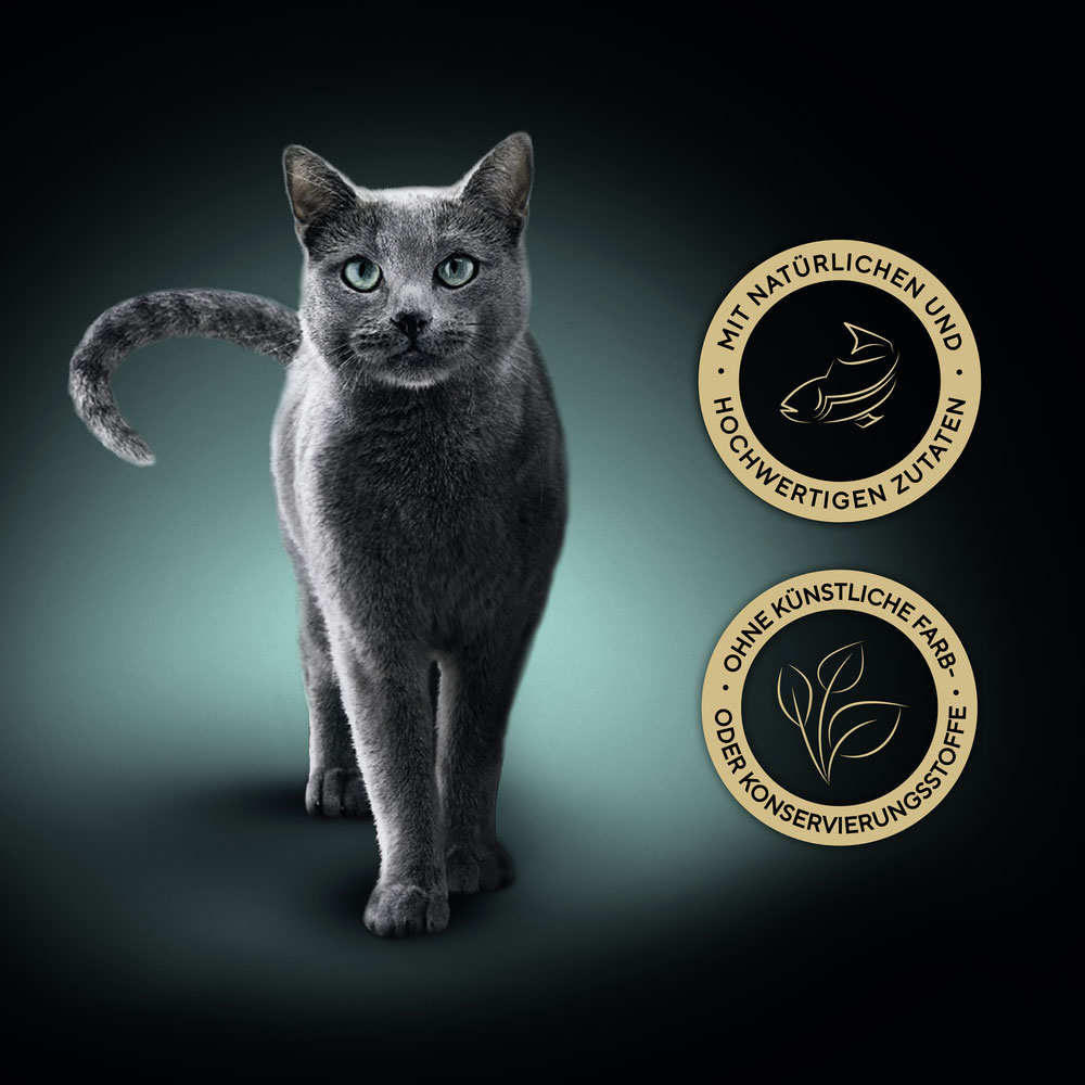 Sheba - Filets mit Weißfisch - 16 x 60 g - 4