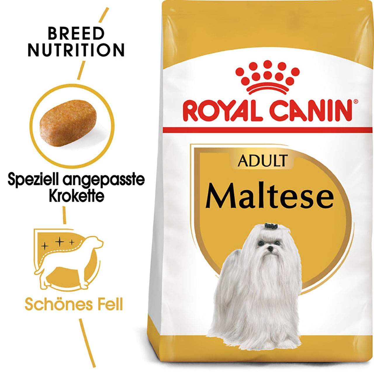 BHN Maltese Adult