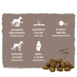 Bosch - Adult Ente & Reis - 4 x 1 kg - 6