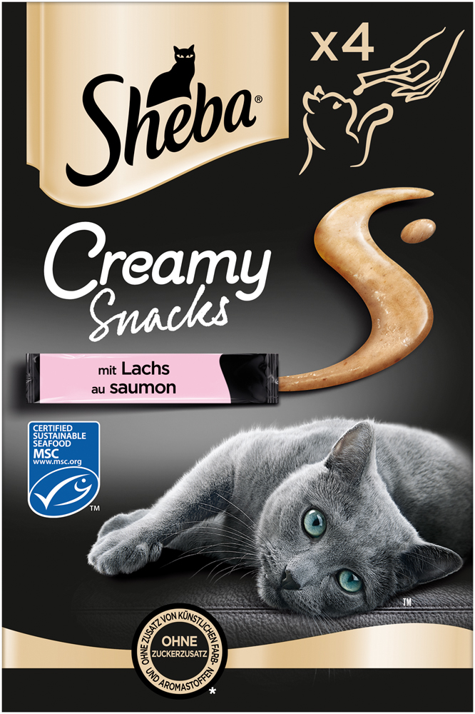 Creamy Snack mit Lachs