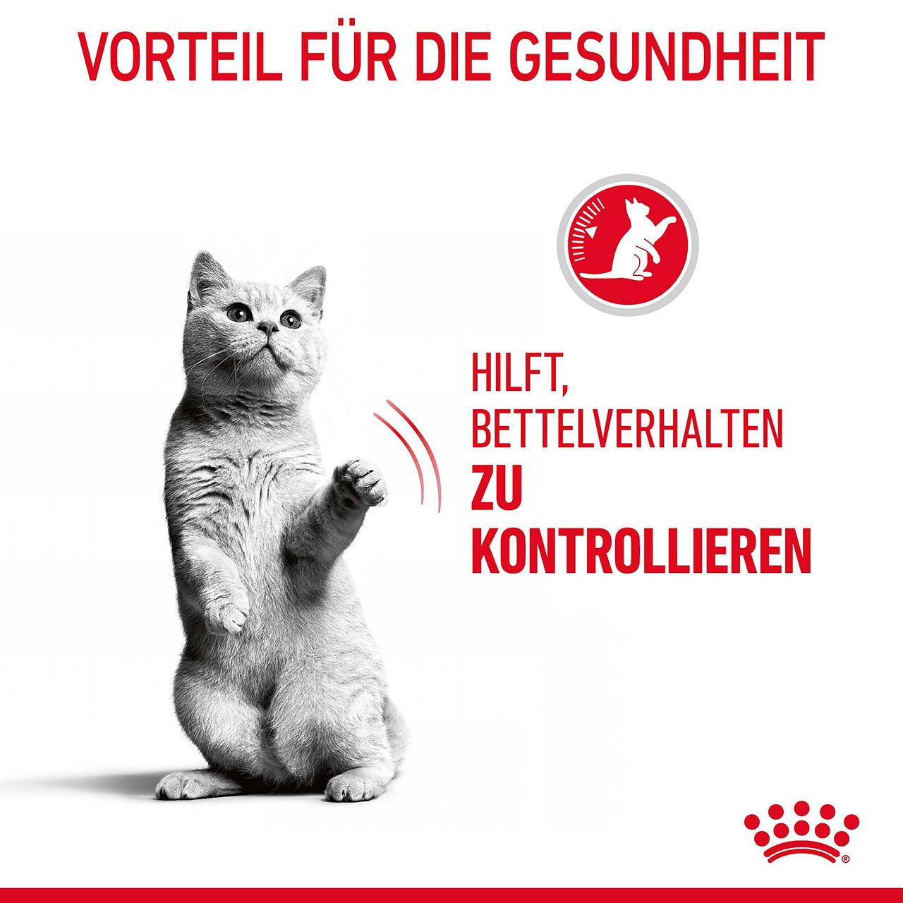 Royal Canin - FCN Appetite Control - 1 x 10kg - 3