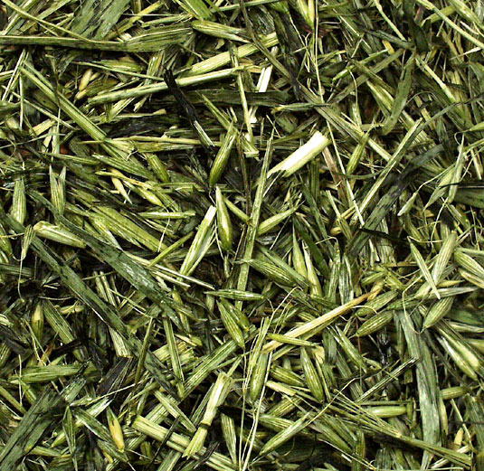 JR Farm - Grüner Hafer - 6 x 100g - 2