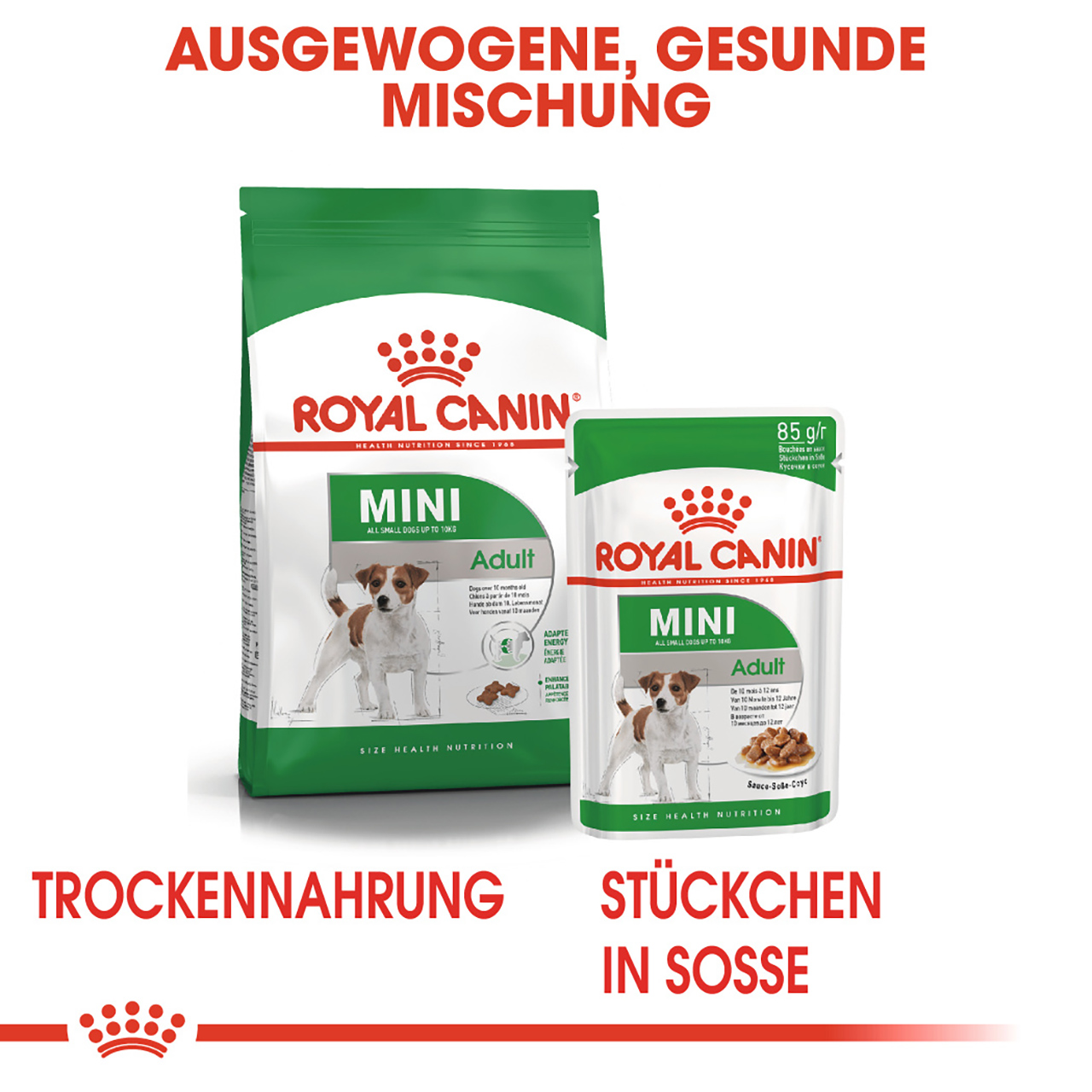 Royal Canin - SHN Mini Adult - 1 x 8kg - 5