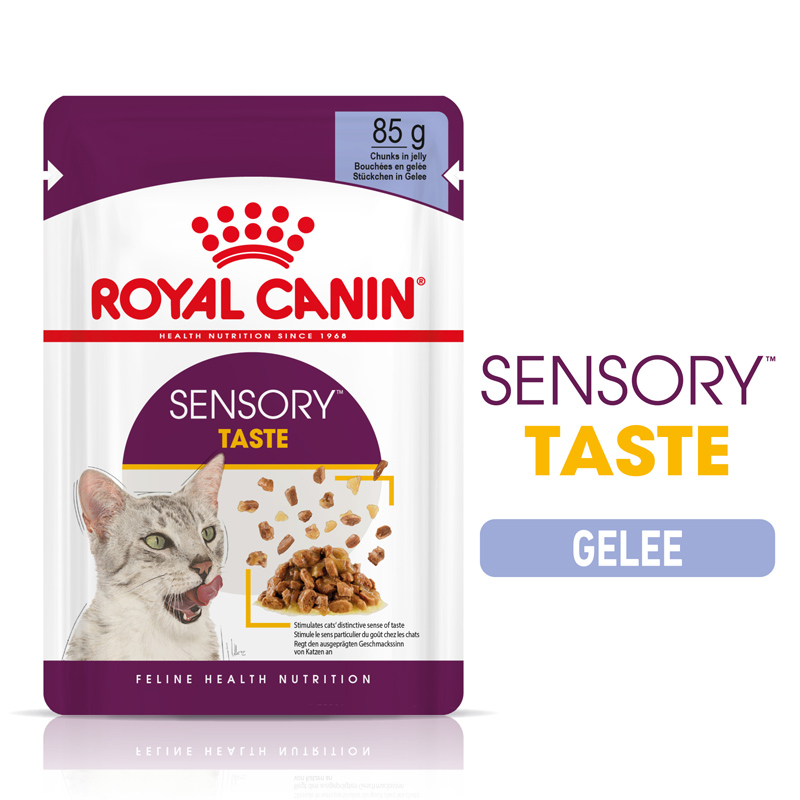 FHN Sensory Taste Jelly