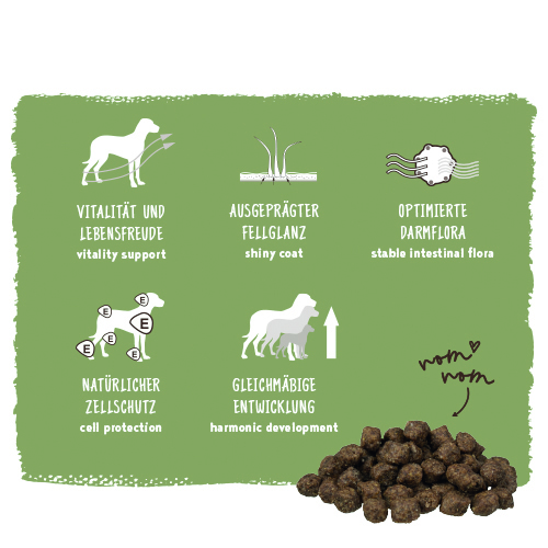 Bosch - Mini Adult Geflügel & Hirse - 1 x 1000 g - 9