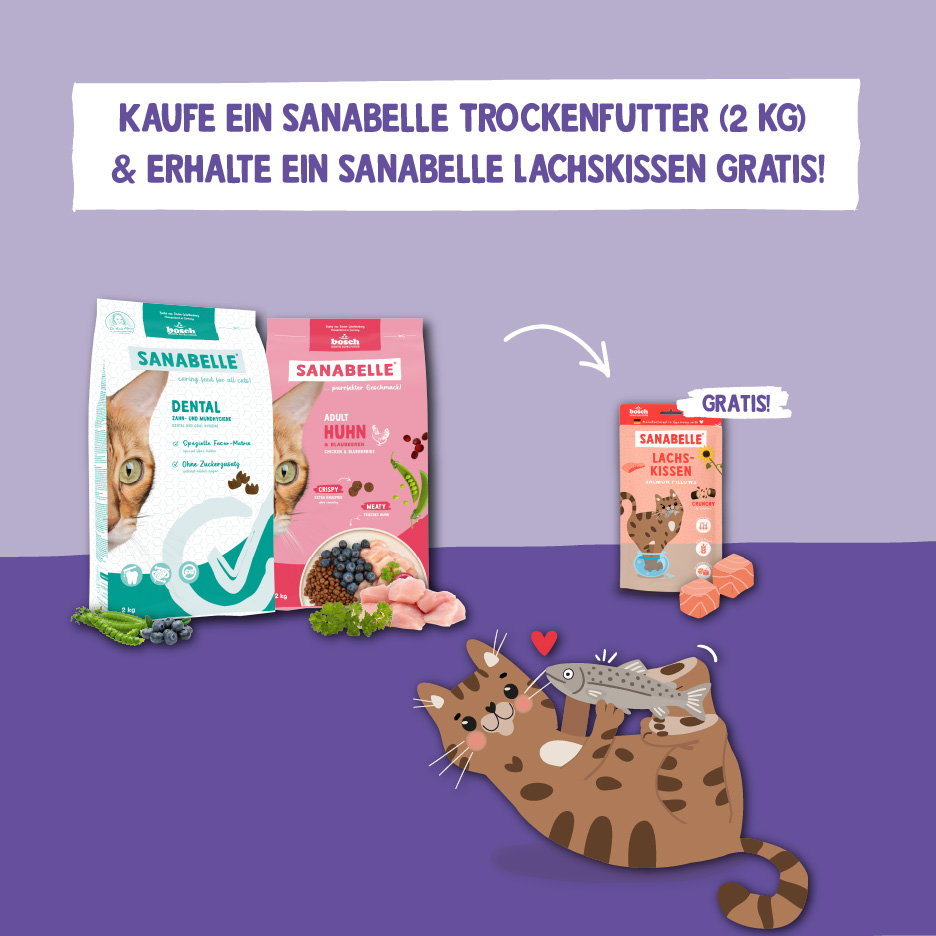 Sanabelle 1+1