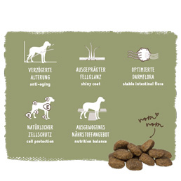 Bosch - Maxi Senior Geflügel & Reis - 1 x 12500 g - 2