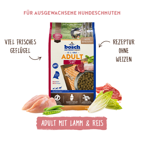 Bosch - Adult Lachs & Kartoffel - 1