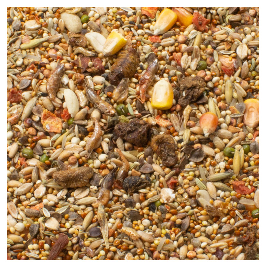 JR Farm - Hamster-Schmaus - 1 x 600 g - 2