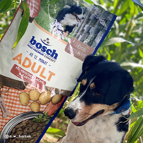 Bosch - Adult Lachs & Kartoffel - 10