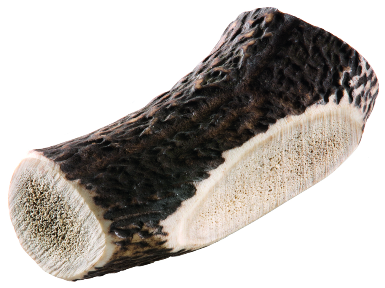 Rothirsch-Geweihstange L