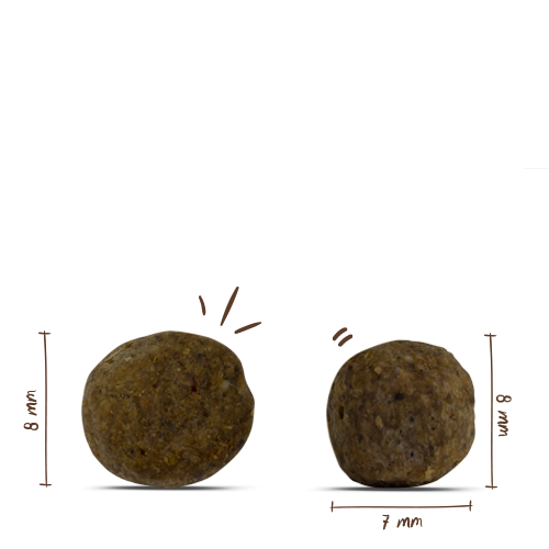 Bosch - Mini Adult Geflügel & Hirse - 3
