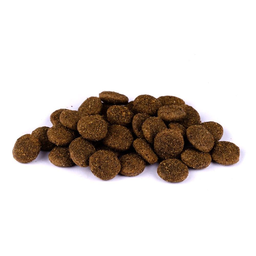Allco Christopherus - Getreidefrei Lamm & Kartoffel Leicht - 4 x 1,5kg - 2