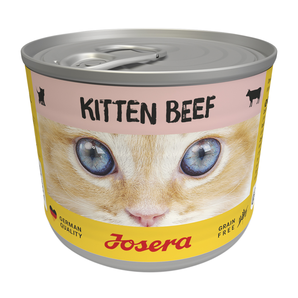 Kitten Beef