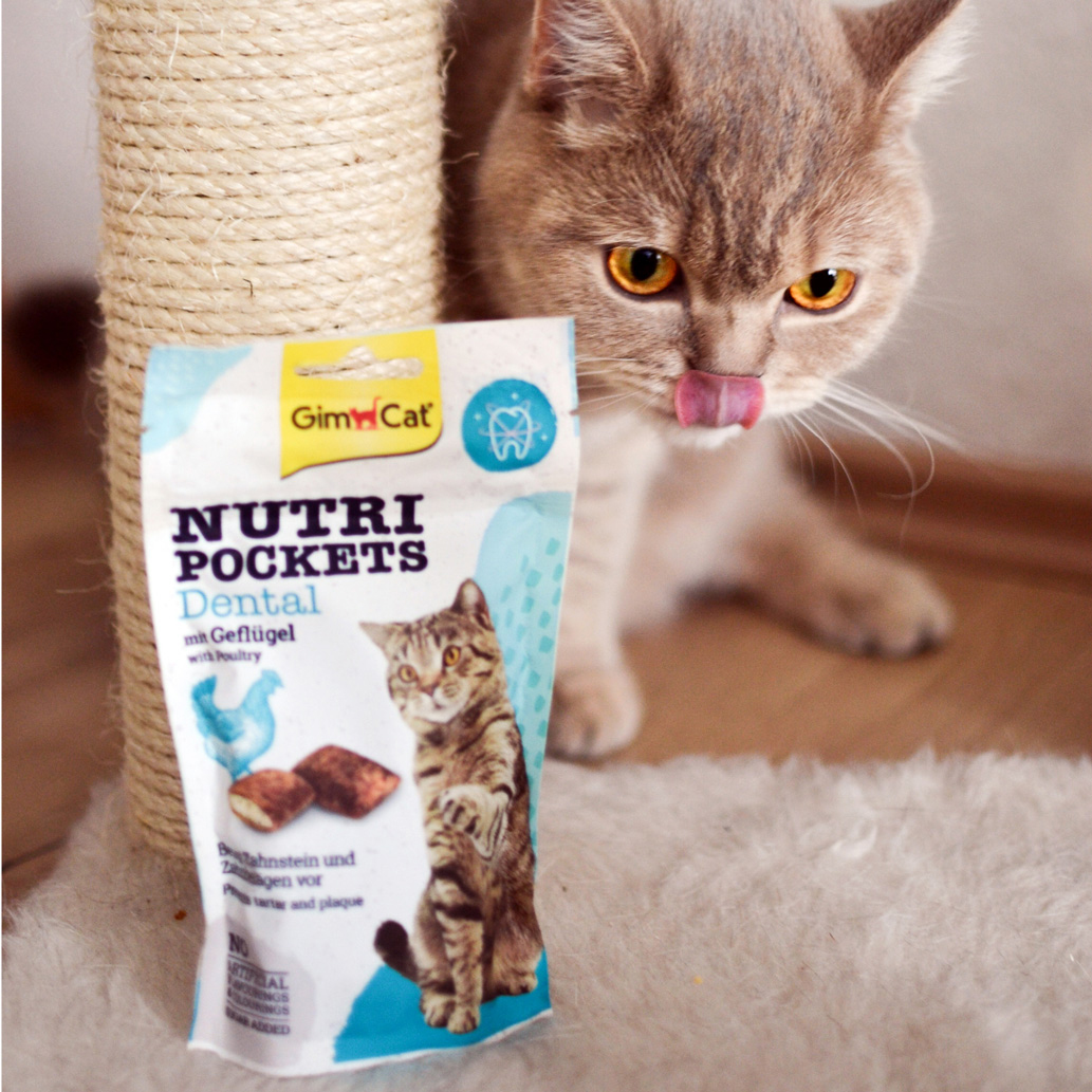 GimCat - Nutri Pocket Dental mit Geflügel - 1 x 60 g - 3