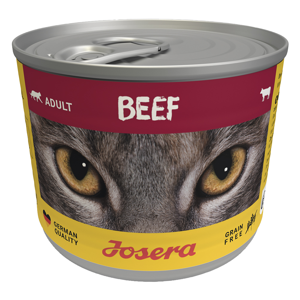 Cat Beef