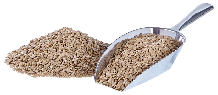 elles - Sonnenblumenkerne geschält 25kg - 1 x 25kg - 1
