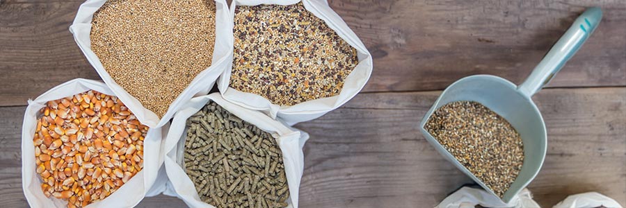 Verschiedene Pferdefutter Sorten