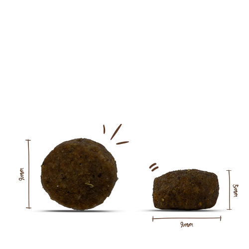 Bosch Sanabelle - Sensitive Geflügel - 2