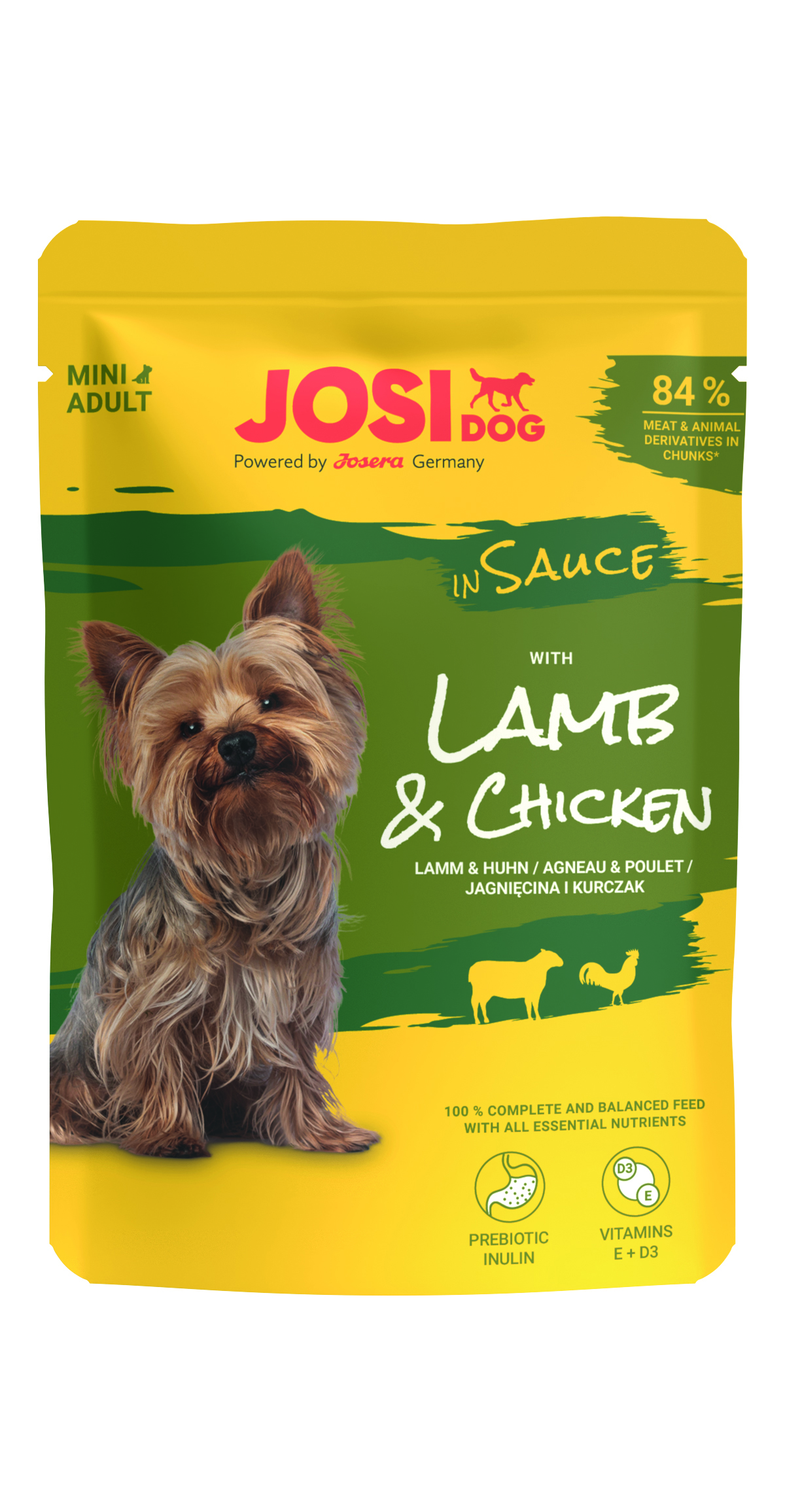 Lamb & Chicken in Sauce